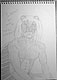 Lionus by LIONPAW
